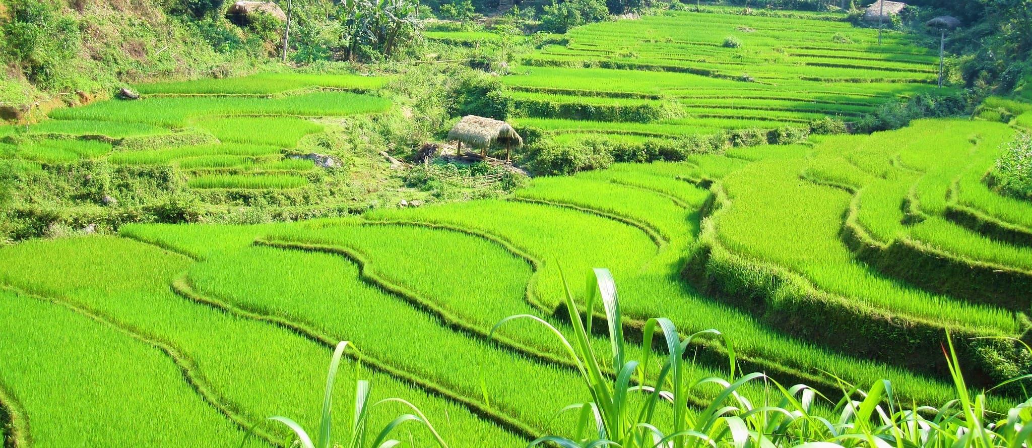 Sapa to Ha Giang by motorbike on borders & back-roads, Vietnam
