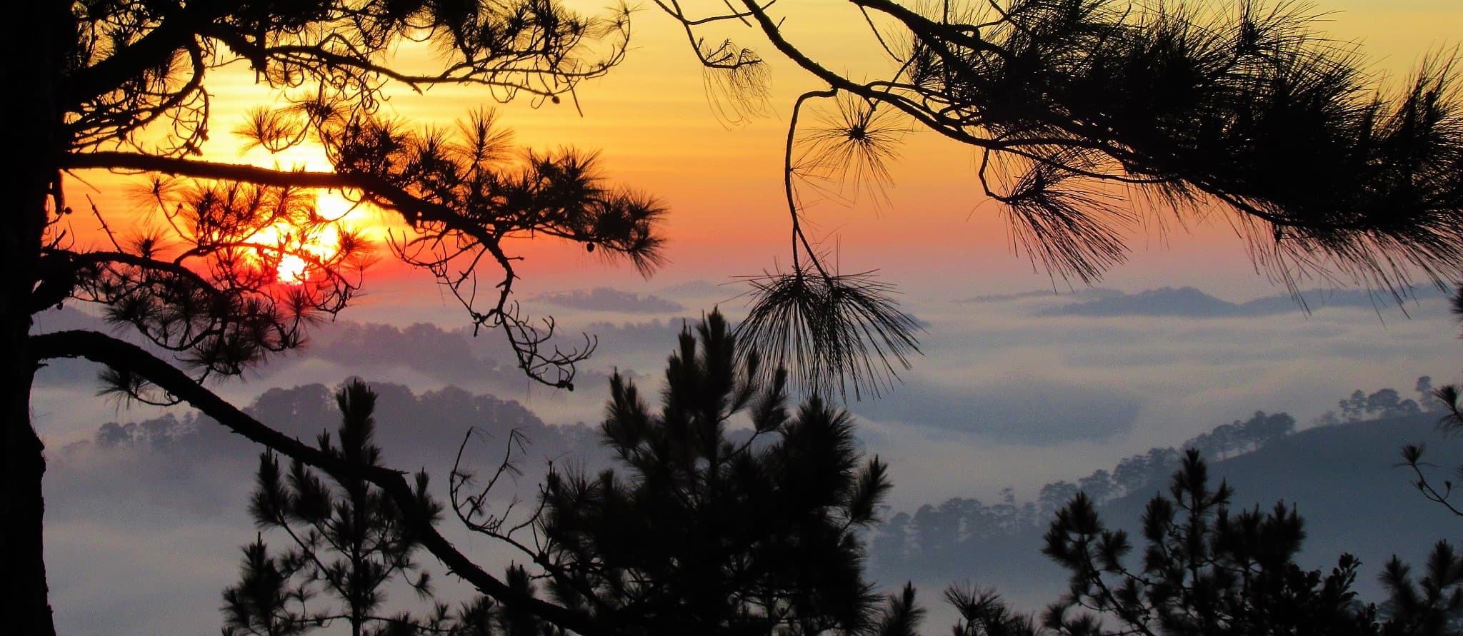 Weather Guide to Vietnam: When & Where to Go