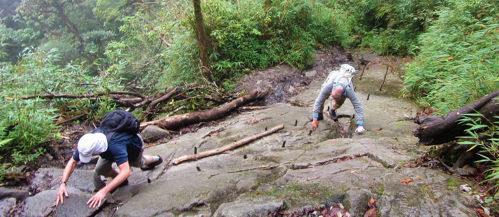 Climbing Fansipan mountain without a guide, Vietnam