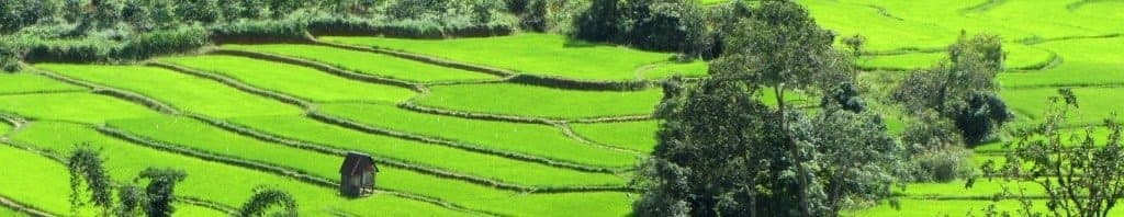 Saigon Escape Loop: motorbike guide