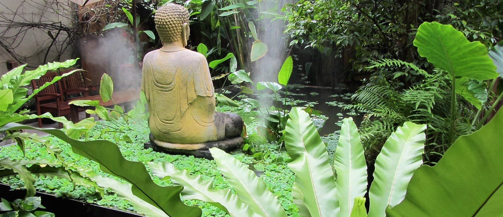 The hidden 'indie' cafes of Saigon (Ho Chi Minh City), Vietnam