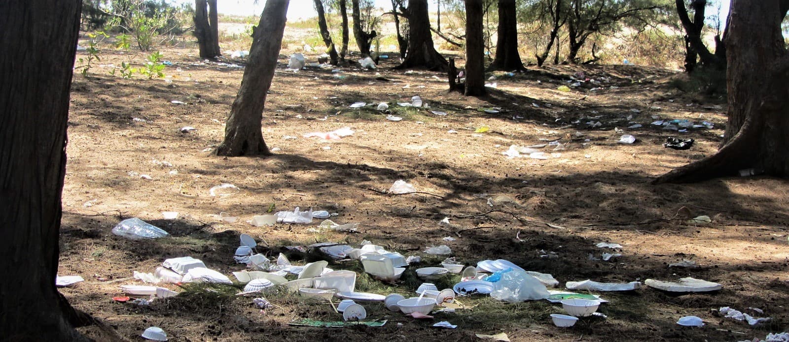 Trash in Vietnam's beauty spots