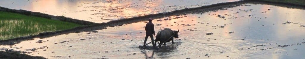 River Road: The Cai Valley, Vietnam
