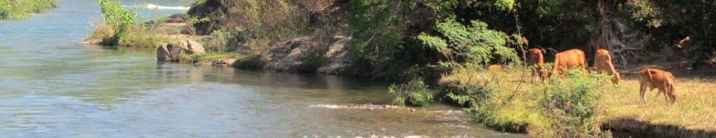 Binh Thuan back-roads by motorbike, Vietnam