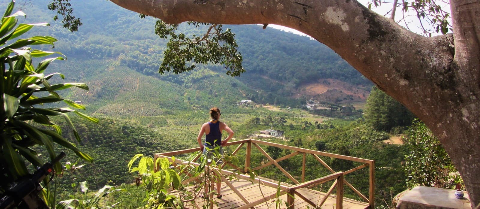 The Banyan Tree Cafe, Route 28, Central Highlands, Vietnam