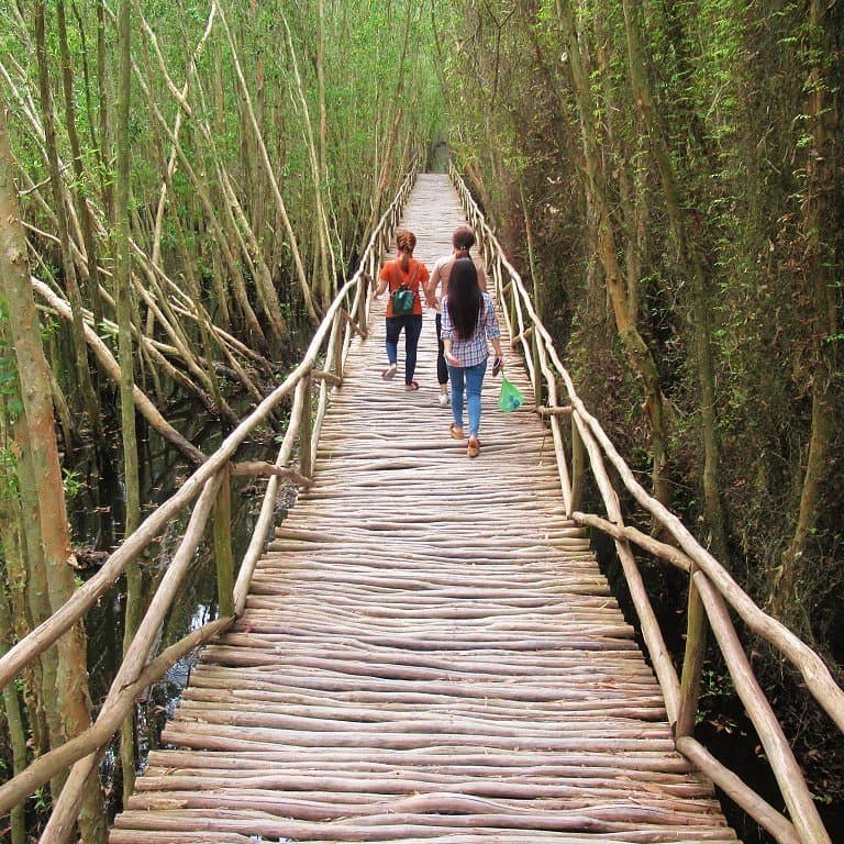 Tan Lap Floating Forest, Long An, Vietnam