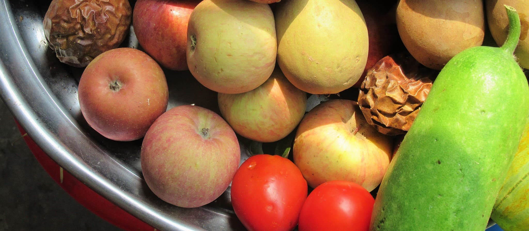 The Juice Lady, Saigon, Ho Chi Minh City, Vietnam