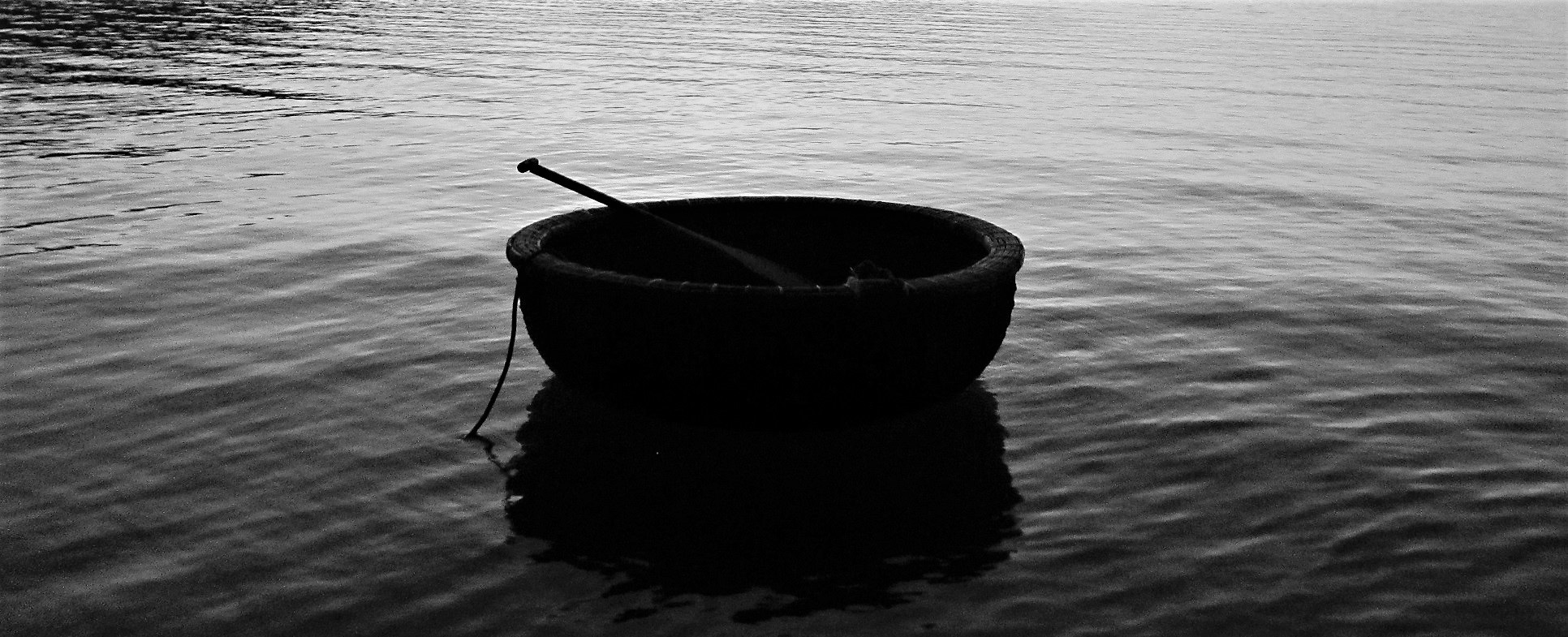 Vietnam Coracle: Disclosure & Disclaimer Statements