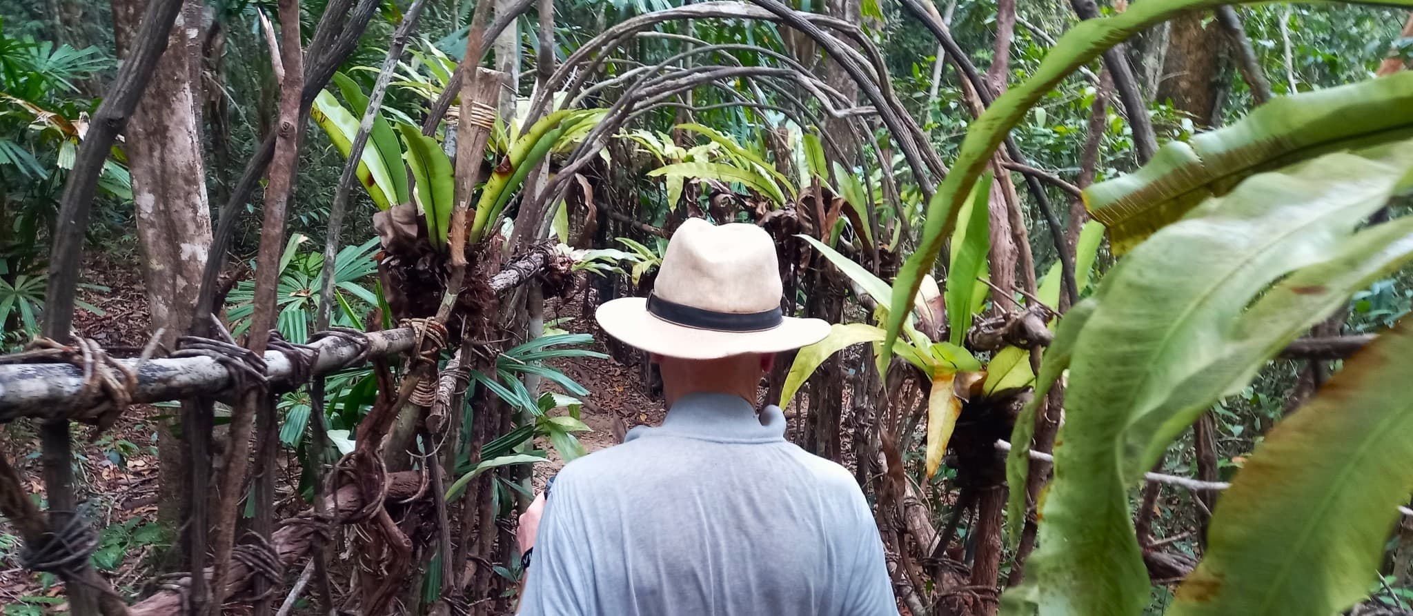 Into the Wild Hike, Phu Quoc Island, Vietnam