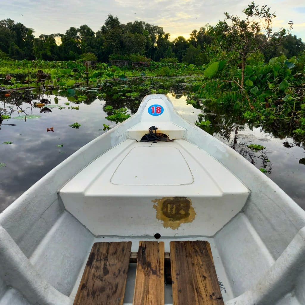 Film: Tra Su Floating Forest, Mekong Delta, Vietnam